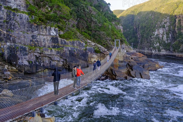 Suspension Bridge