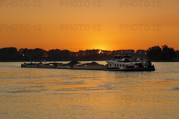 Freighter on the Rhine in the evening