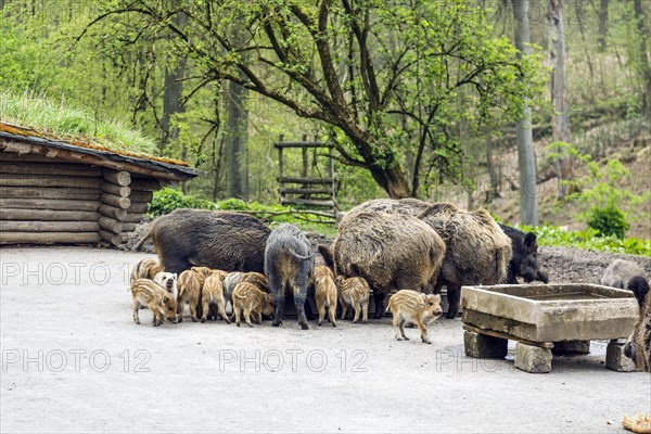 Wildpark im Grafenberger Wald