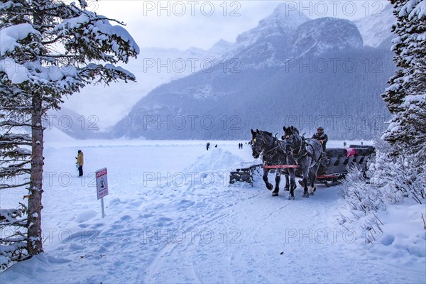 Horse-drawn carriage at the frozen mountain lake Lake Louise near Chateau Lake Louise