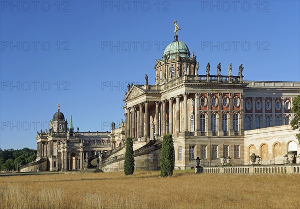 University of Potsdam