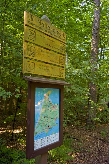 Signpost and signpost in the Darss Forest