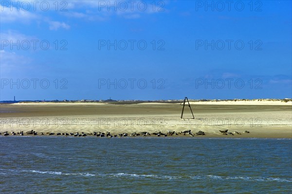 View of Norderney Island