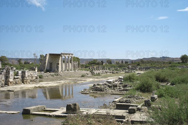 Pillared House