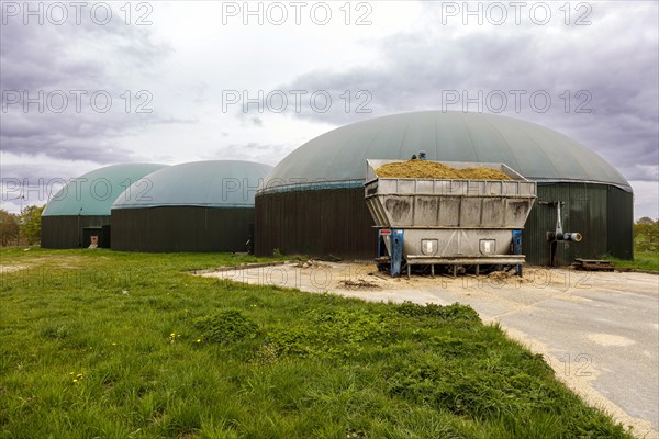 Biogas plant