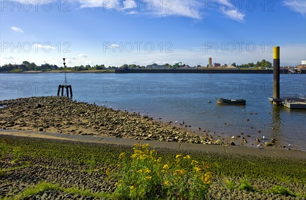 Bank stabilisation on the Lower Weser near Bremen Blumenthal