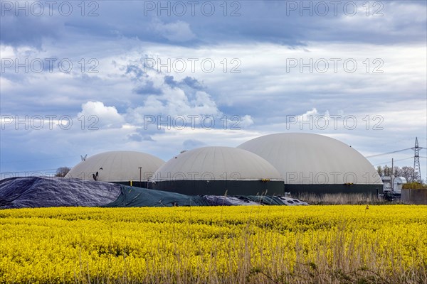 Biogas plant in Dithmarschen