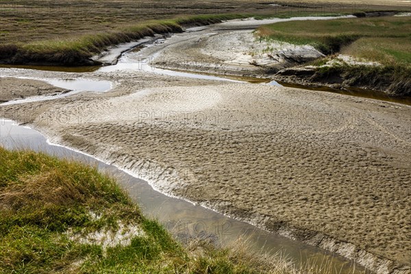 Salt marshes between the sandbanks and dunes