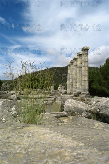 Marble columns in the Temple of Athena