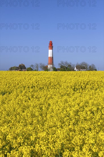 Lighthouse Fluegge