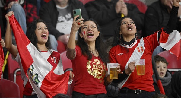 Peruvian fans