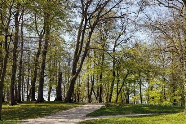 Suedlicher Schlossgarten Schwerin am Fauler See