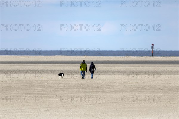 North Sea coast