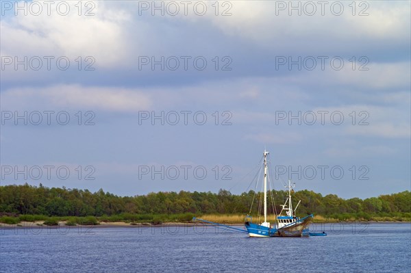 Lower Elbe near Stade in the Alte Land