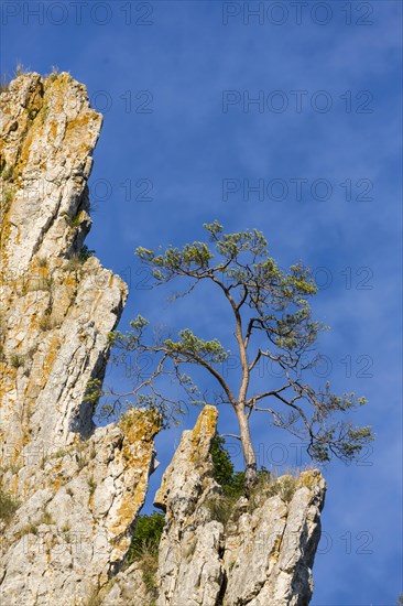 Bruckfels