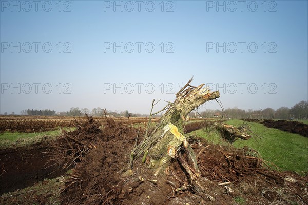 Peat cutting in the Wesermarsch region