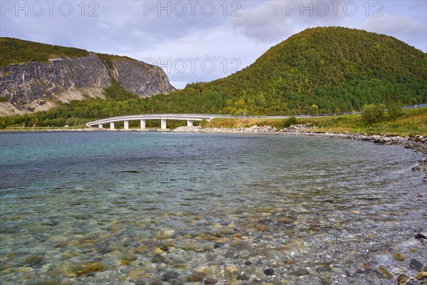 Saltfjorden