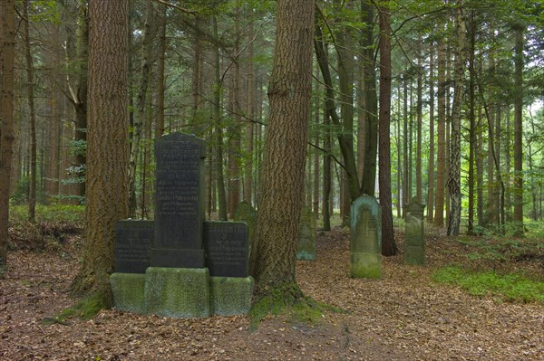Jewish cemetery in the forest