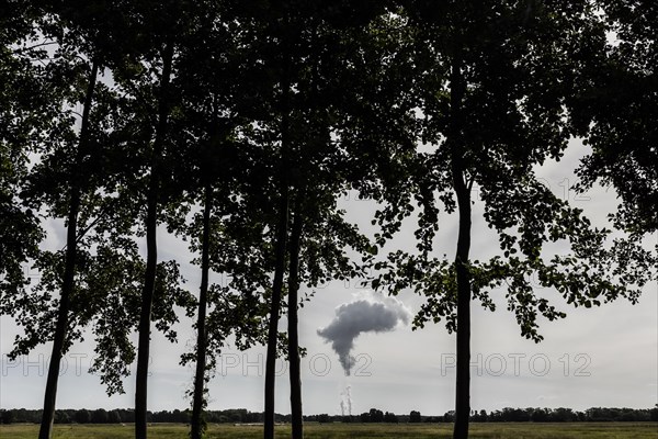 The Jaenschwalde coal-fired power plant looms behind trees in Dissen-Striesow