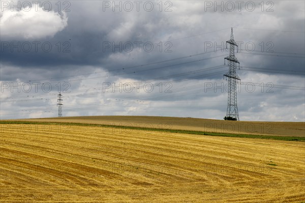 Harvested grain field