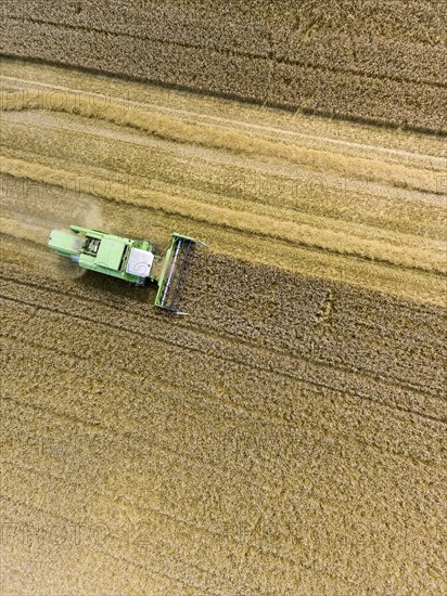 Grain harvest