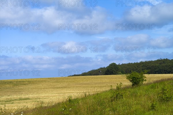 Landscape near the Koenigsstuhl