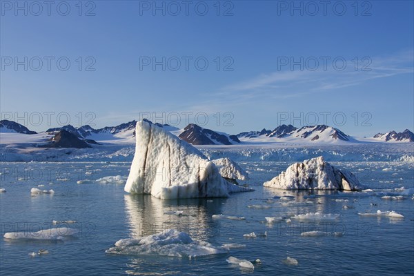 Ice floes calved from the Lilliehoeoekbreen glacier drifting in the Lilliehoeoekfjorden