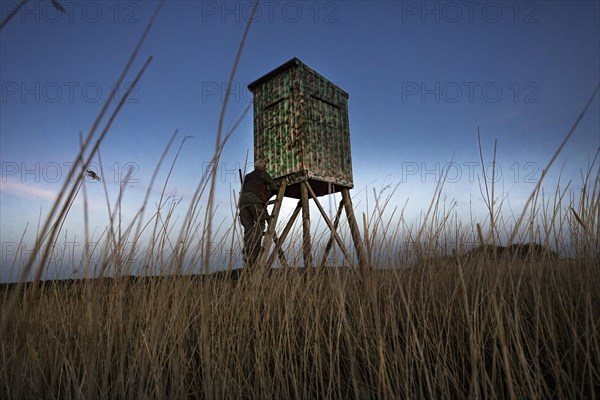 Hunter at a raised hide