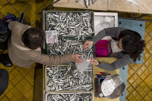 Birds eye colour photo of a stall full of sardines with the seller and a buyer