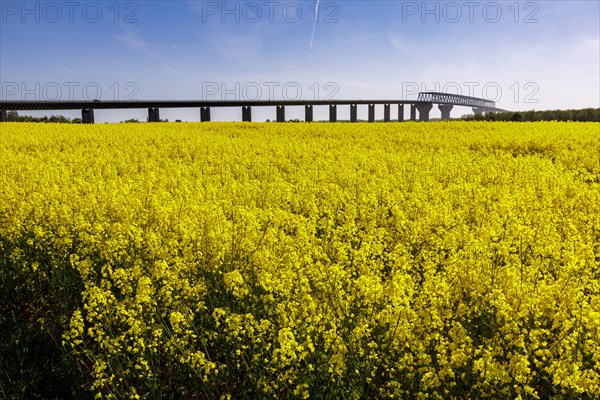 Hochbruecke Brunsbuettel over the Kiel Canal