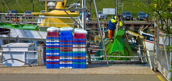 Shrimp cutter in the harbour of Buesum