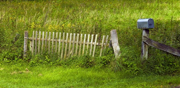 Fence and US Mailbox