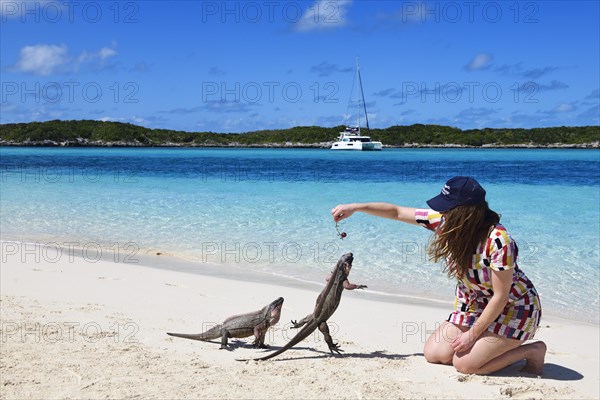 Young woman feeding rock iguanas