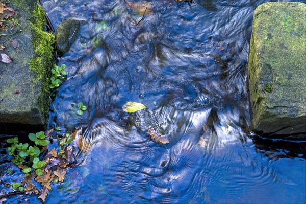 Narrows of a narrow stream with water flow and stones