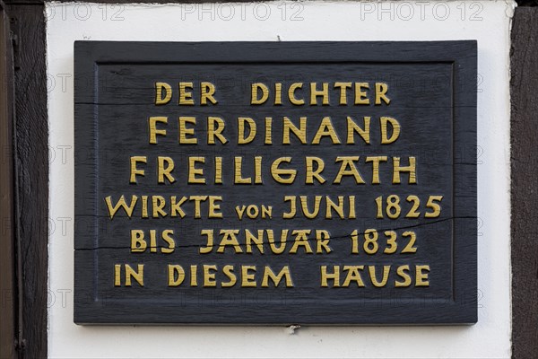 Haus zur Rose or Freiligrath House