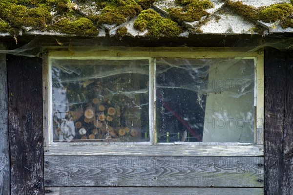 Windows on a wooden barn