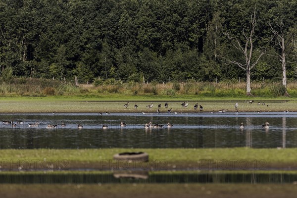 Low water level in the polder