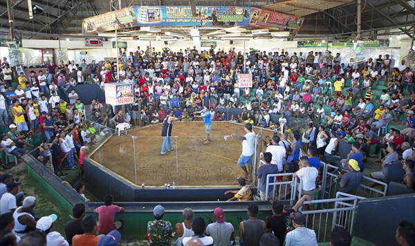 Cockfighting arena