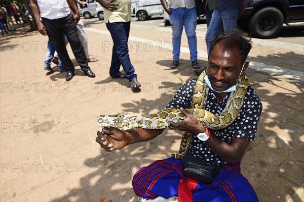 Snake charmer with python