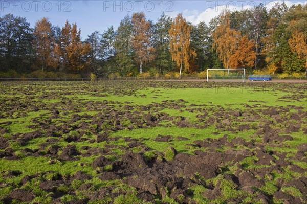 Ruined football field