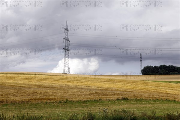 Harvested grain field