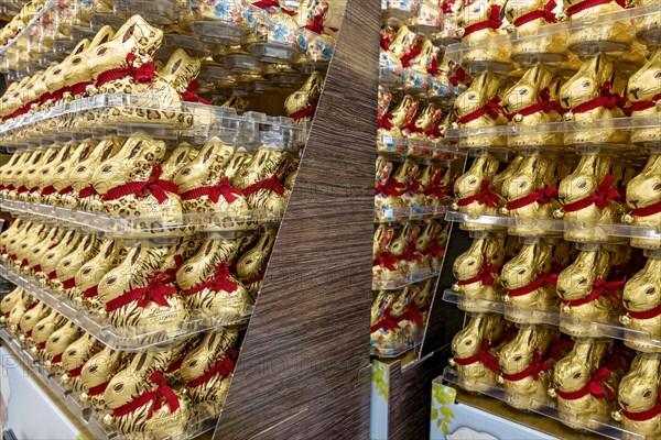 Many chocolate Easter bunnies