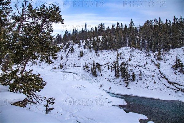 Iced rapids Bow Falls