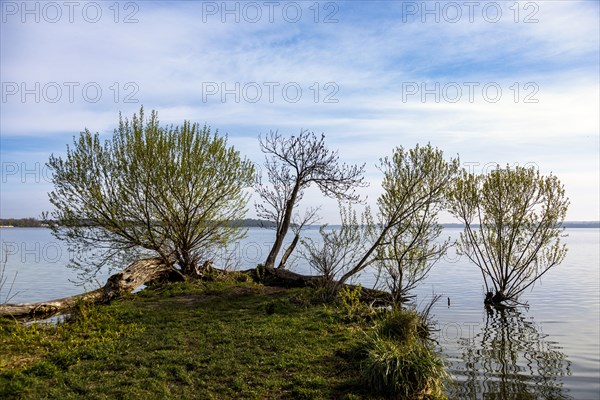 Lake Schwerin shore