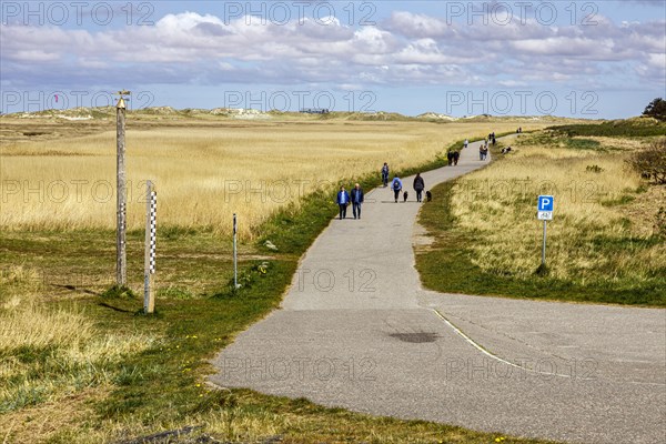 Hiking trail through the dune landscape