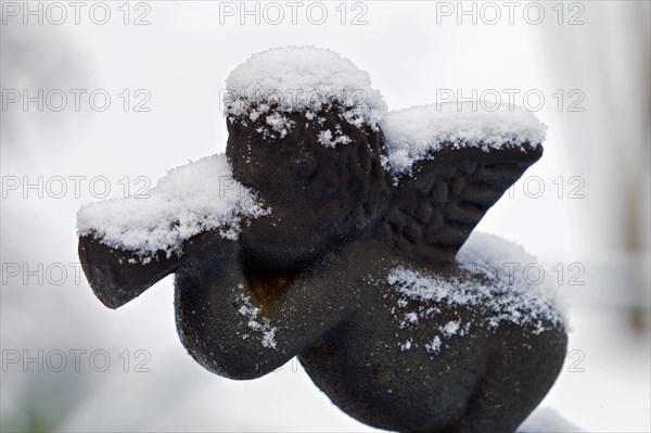 Snowy ornamental stick in a garden