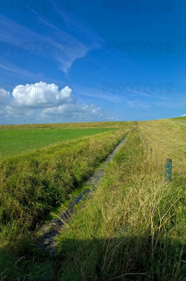 Drainage ditch behind the North Sea dike