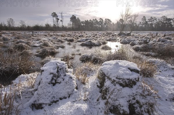 The onset of winter and snow on the moor. Tister Bauernmoor