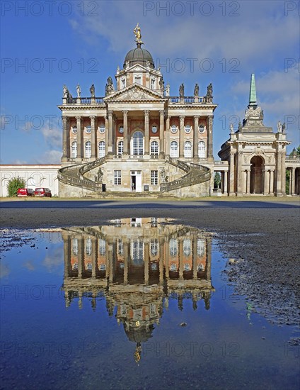 Reflection in puddle