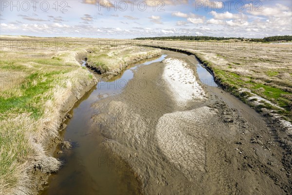 Tideway in the salt marshes between the sandbanks and dunes off Sankt Peter-Ording